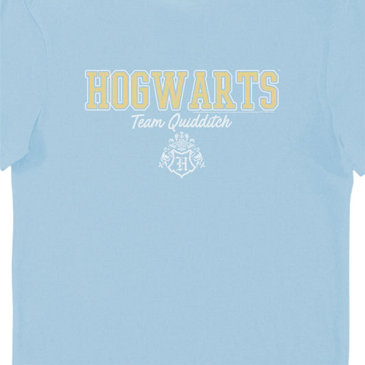 Harry Potter Hogwarts Team Quidditch Blue Adults T-Shirt