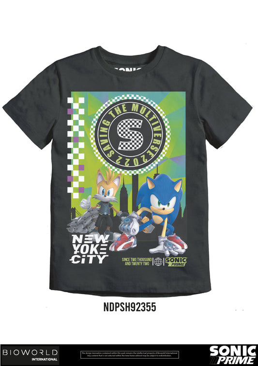 Sonic Saving the Mutiverse