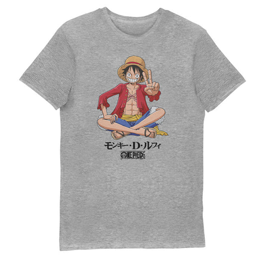 One Piece Luffy Grey Adults T-Shirt