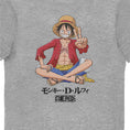 Load image into Gallery viewer, One Piece Luffy Grey Adults T-Shirt
