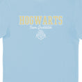 Load image into Gallery viewer, Harry Potter Hogwarts Team Quidditch Blue Adults T-Shirt
