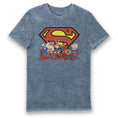 Load image into Gallery viewer, Looney Tunes & DC Comics Characters Superman Eco Wash Adults T-Shirt
