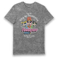 Load image into Gallery viewer, Powerpuff Girls Characters Eco Stone Wash Adults T-Shirt
