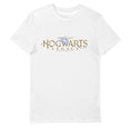 Load image into Gallery viewer, Harry Potter Legacy Logo Adults T-Shirt
