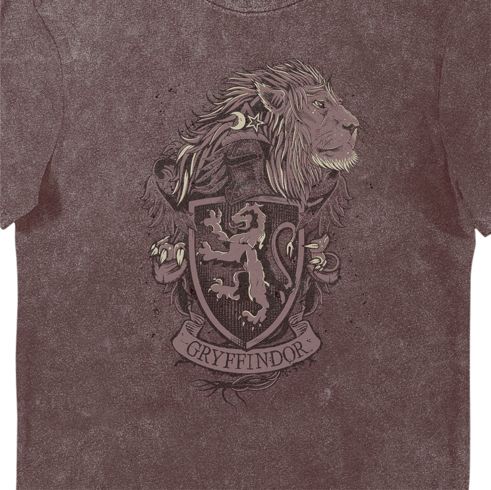 Harry Potter Gryffindor House Crest Red Vintage Style Adults T-Shirt