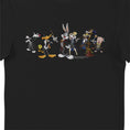 Load image into Gallery viewer, Looney Tunes & Harry Potter Characters Adults Black T-Shirt

