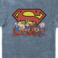 Load image into Gallery viewer, Looney Tunes & DC Comics Characters Superman Eco Wash Adults T-Shirt

