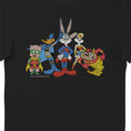 Load image into Gallery viewer, Looney Tunes & DC Comics Justice League Characters Adults T-Shirt
