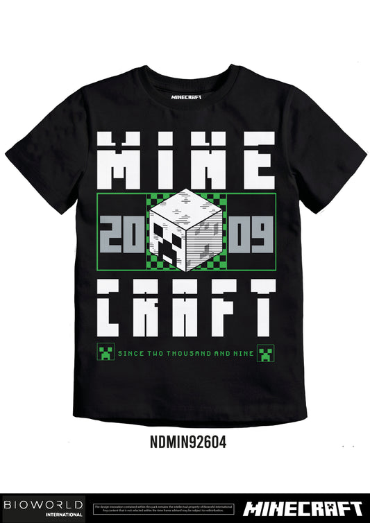 Minecraft 2009