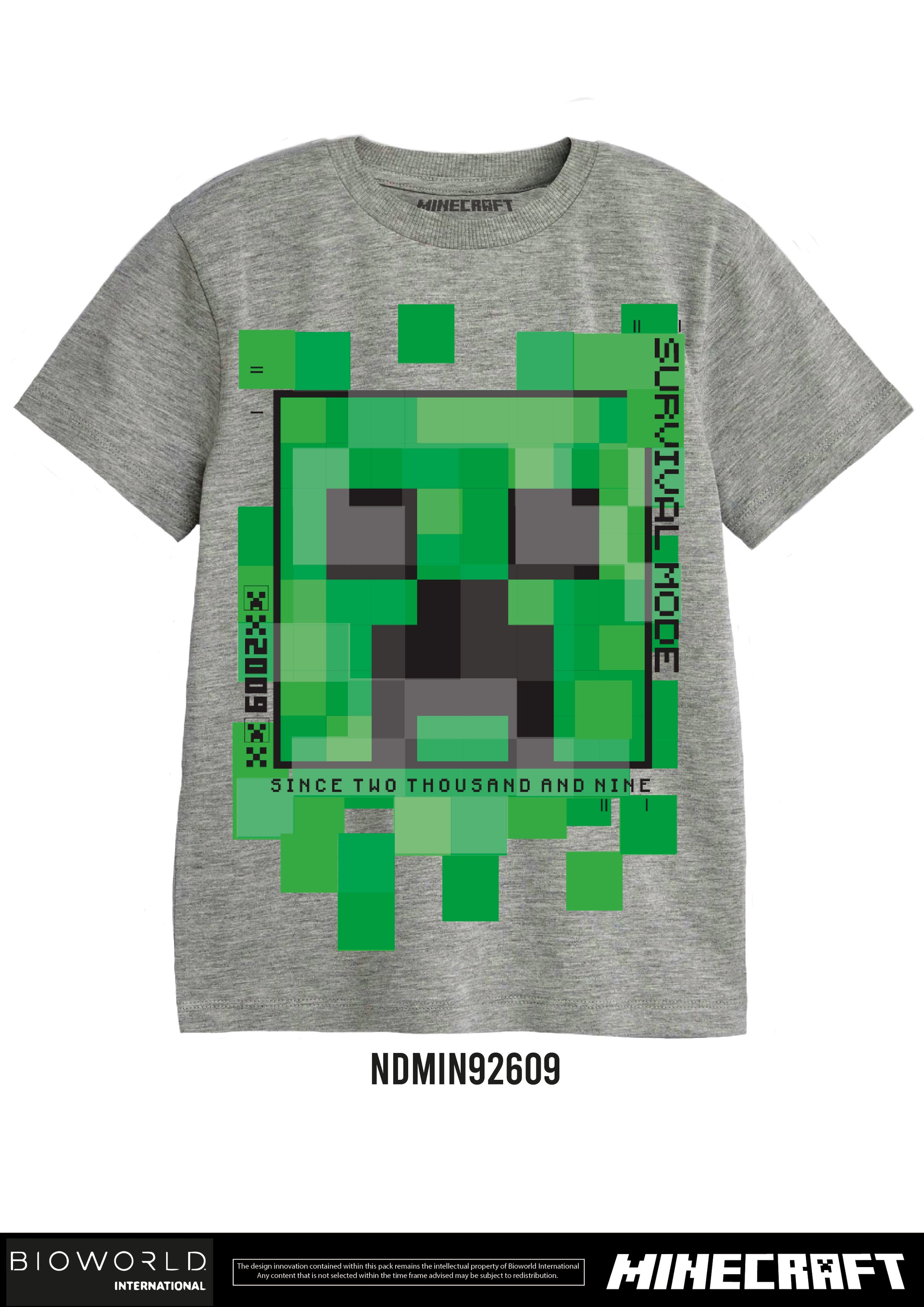 Minecraft Survival Mode Creeper Face