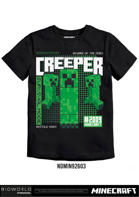 Minecraft Creeper Group 2009