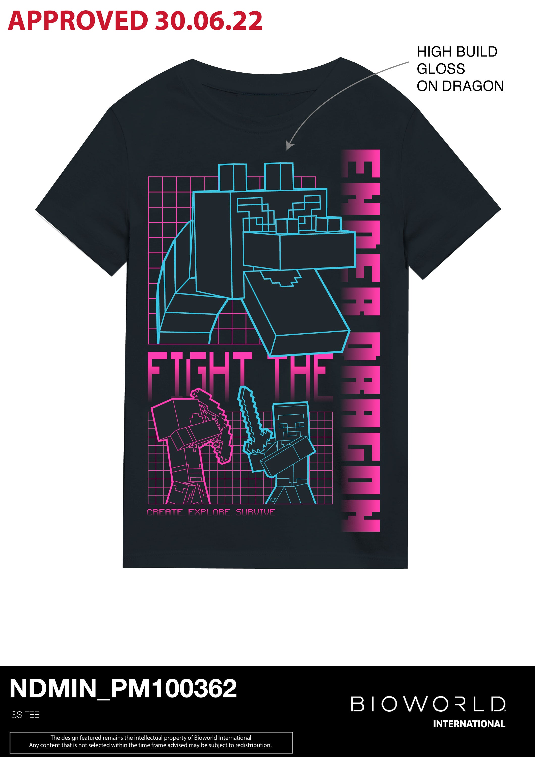 Minecraft Fight The Ender Dragon