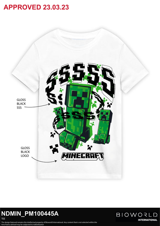 Minecraft SSSSSSS