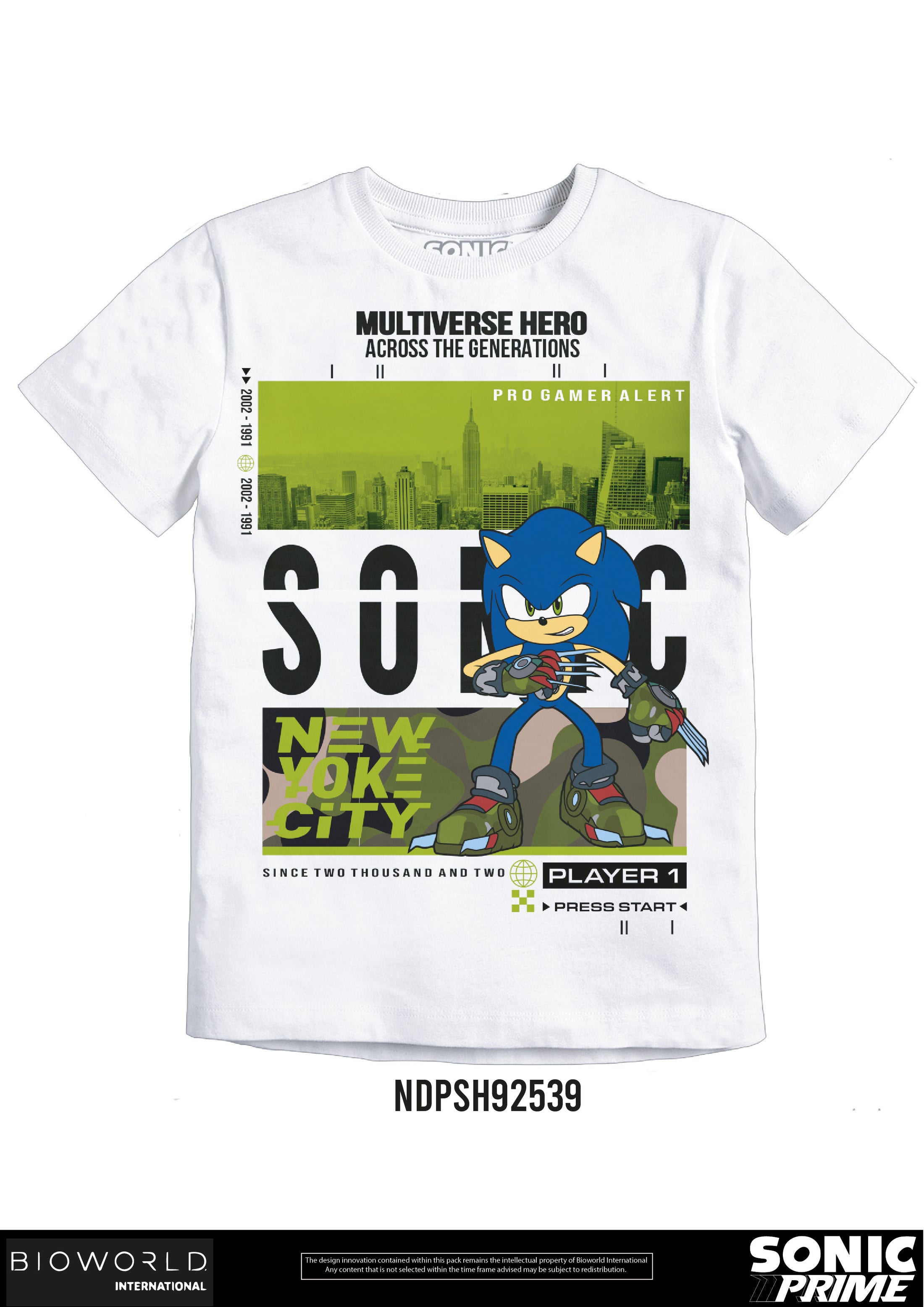 Sonic Multiverse Hero