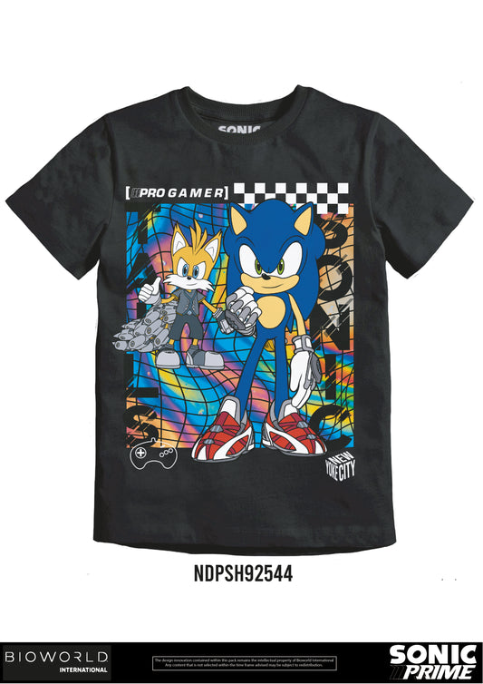 Sonic Pro Gamer