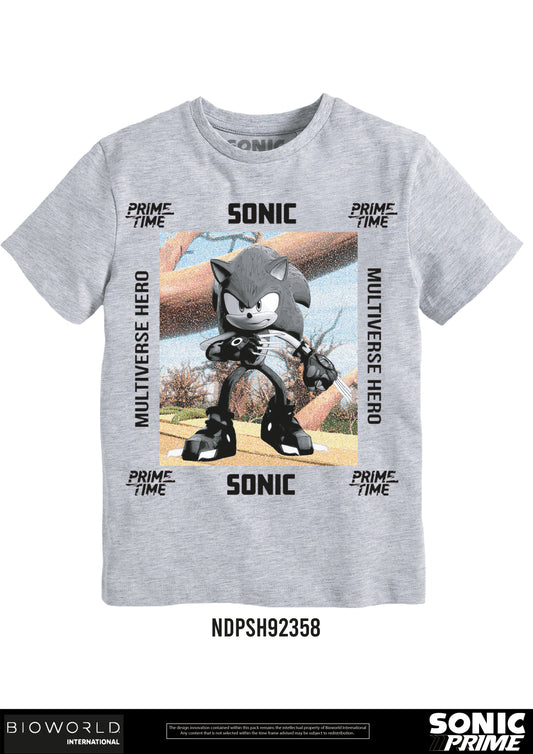 Sonic Primetime Multiverse Hero